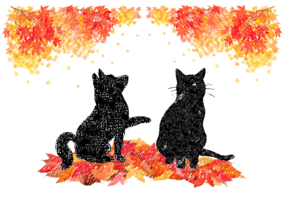 🍁秋の健康診断キャンペーン🍁