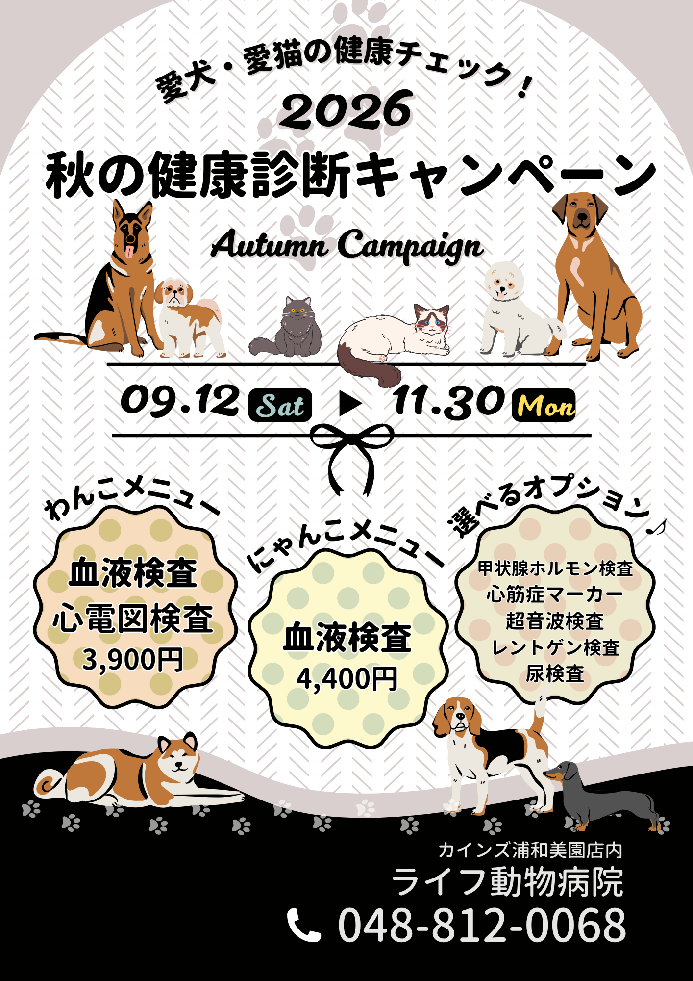 2026年　秋の血液検査キャンペーン🍁